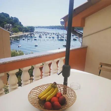 Διαμέρισμα Vukovic *